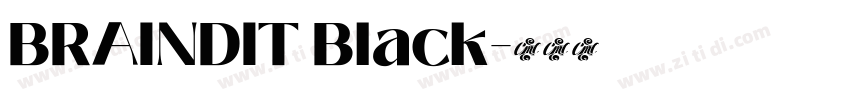 BRAINDIT Black字体转换